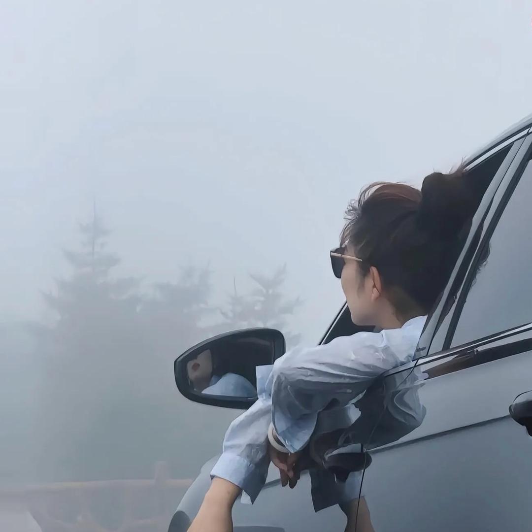 卢宝宝