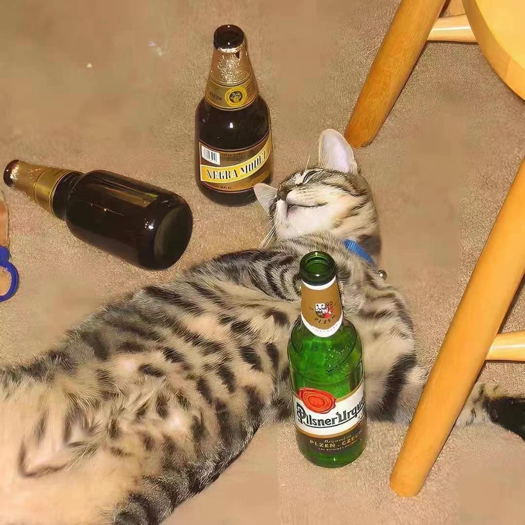 隔壁老王