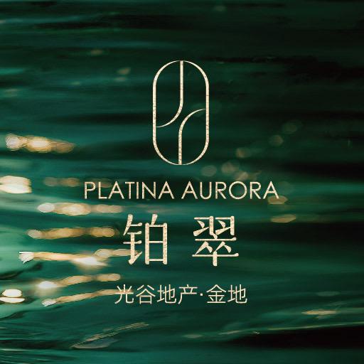 光谷地产·金地l铂翠
