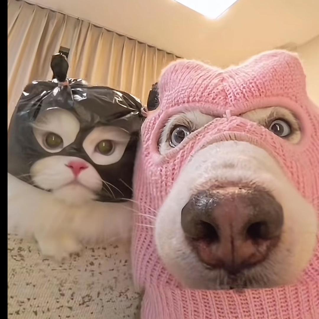 缺钱但是会给穷人发功德的骟猪林师傅
