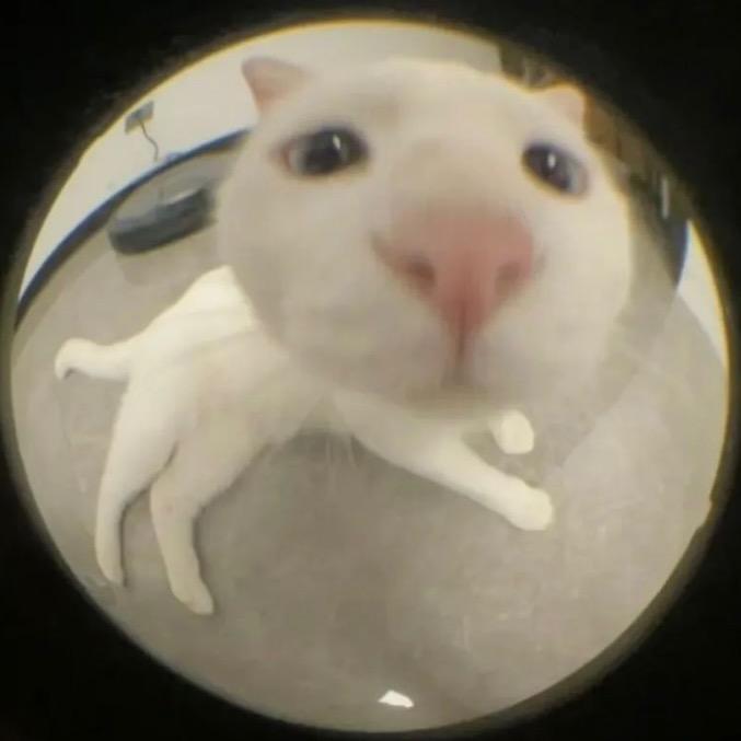 韵子