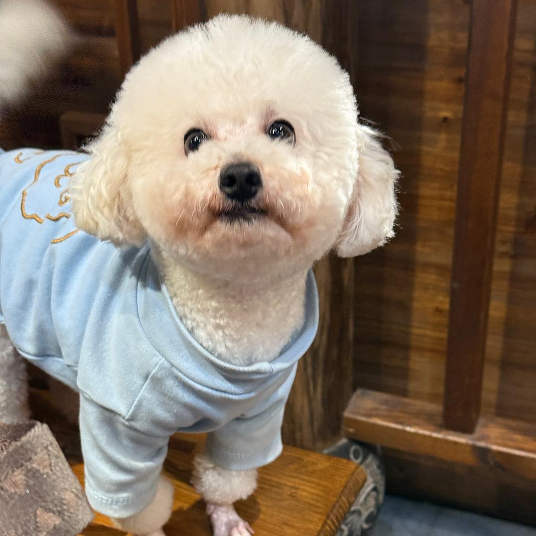 涂东东