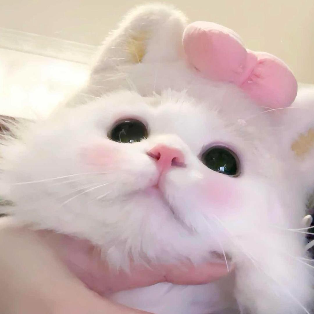 拒绝嫁入豪门99次霸道总裁强制爱上我