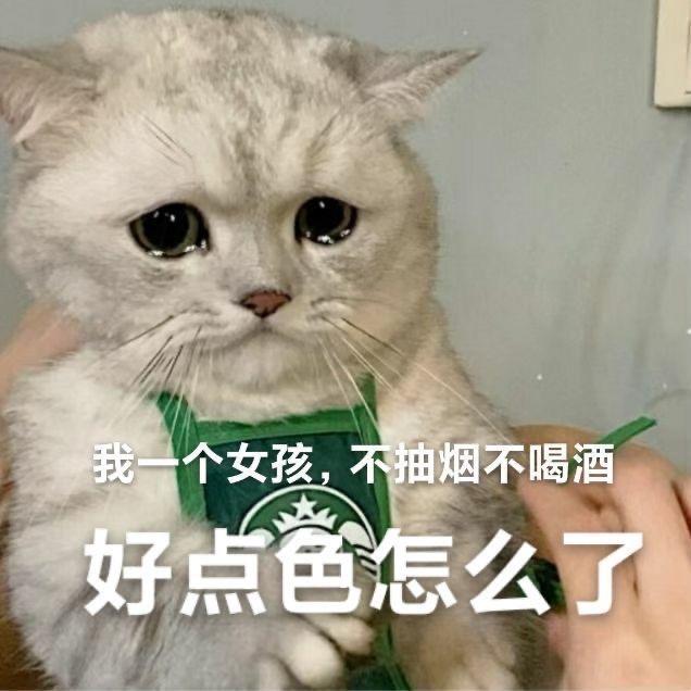 完美寡妇（搬砖中）