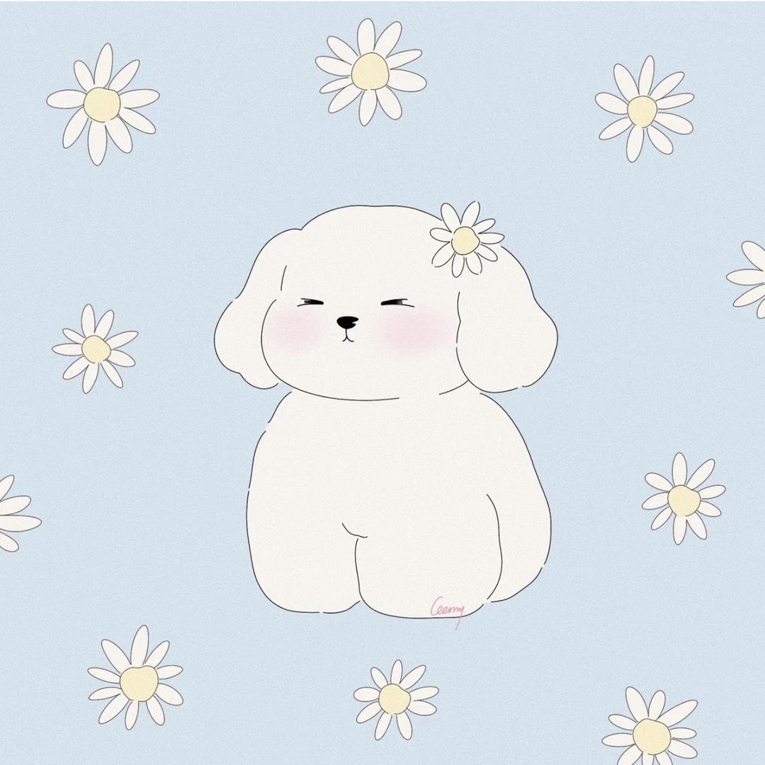 小何啦