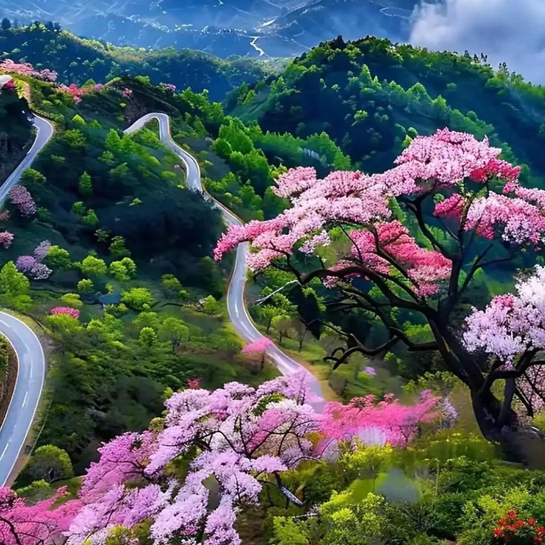 蓝按