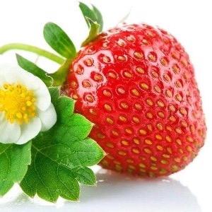佰佳信农资