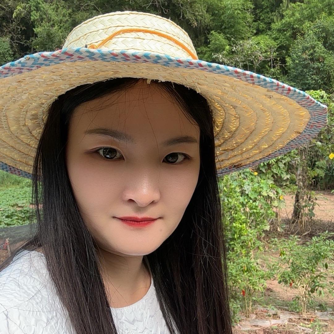星星的麻将世界