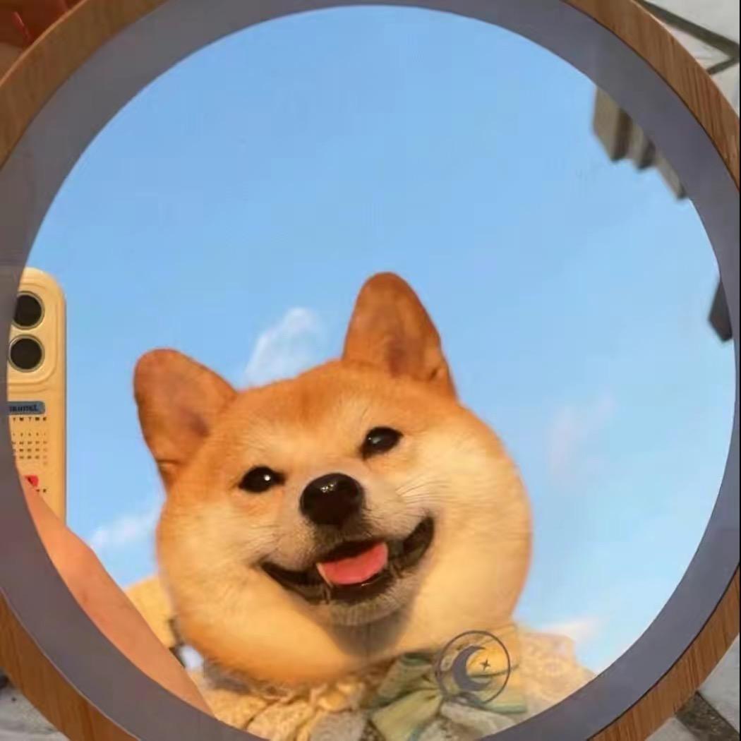 任大宝🏠