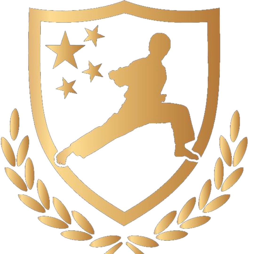 星尚武术