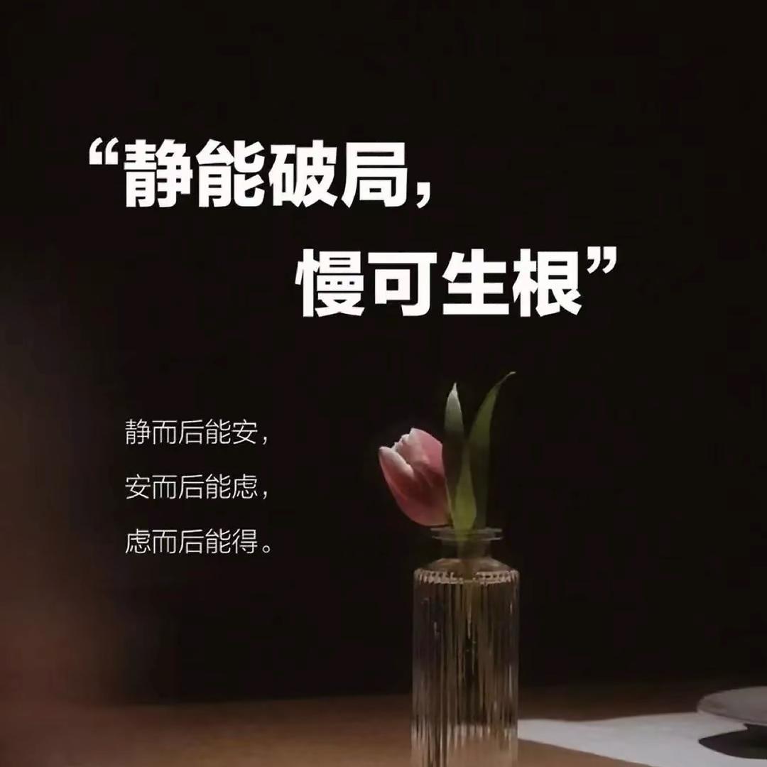 木兰来了