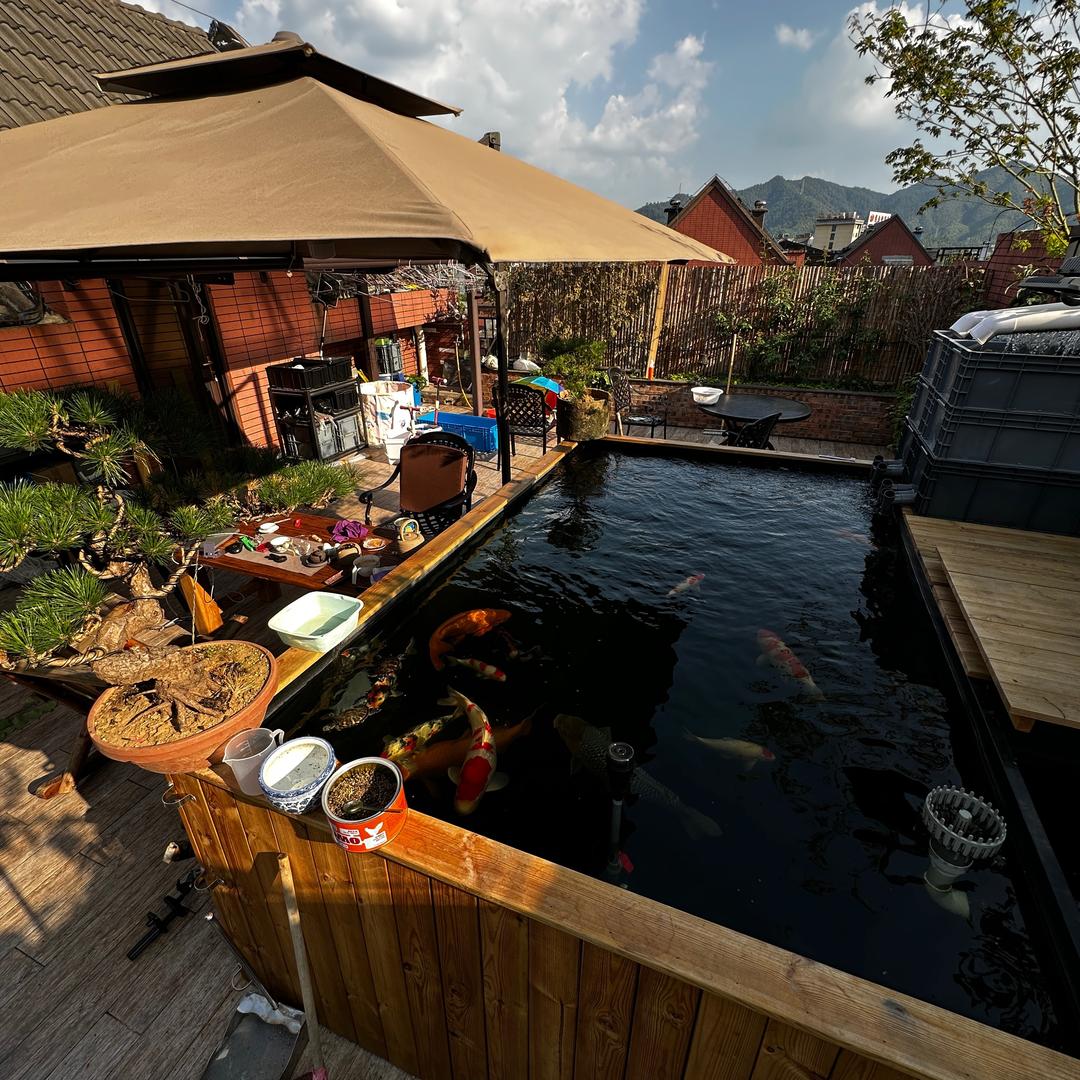 懂点养鱼的陶瓷先生