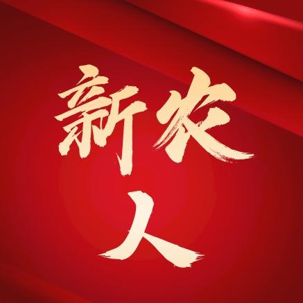 家在柿树