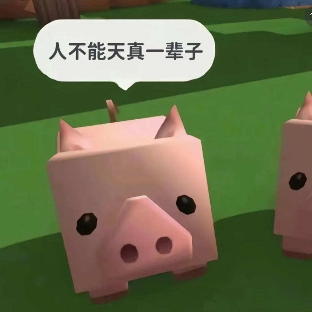 你别说话了
