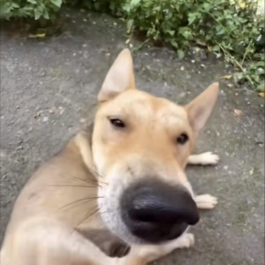 好ㅤㅤㅤ
