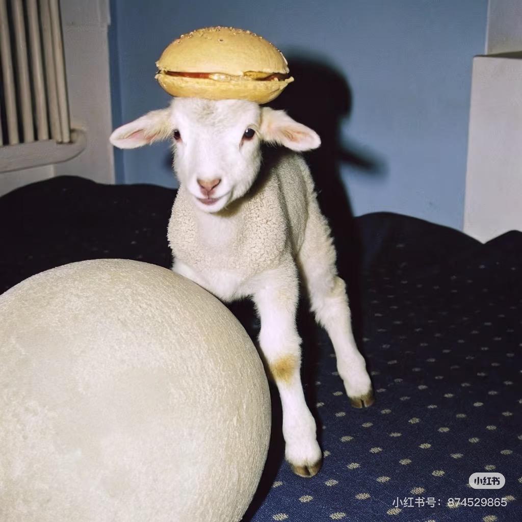 睡眠羊
