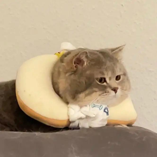 热面冰咖啡🌦️