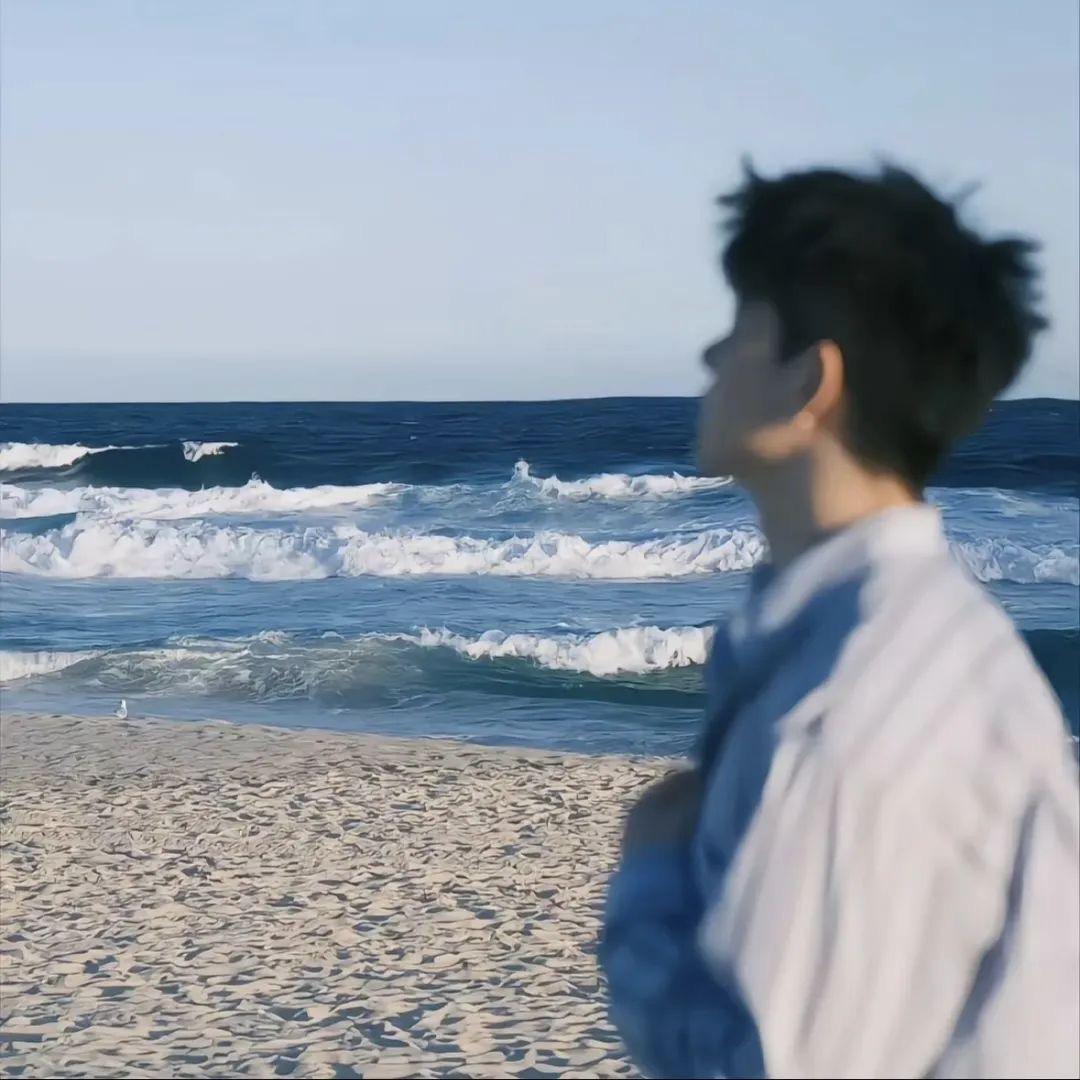 野生派大星
