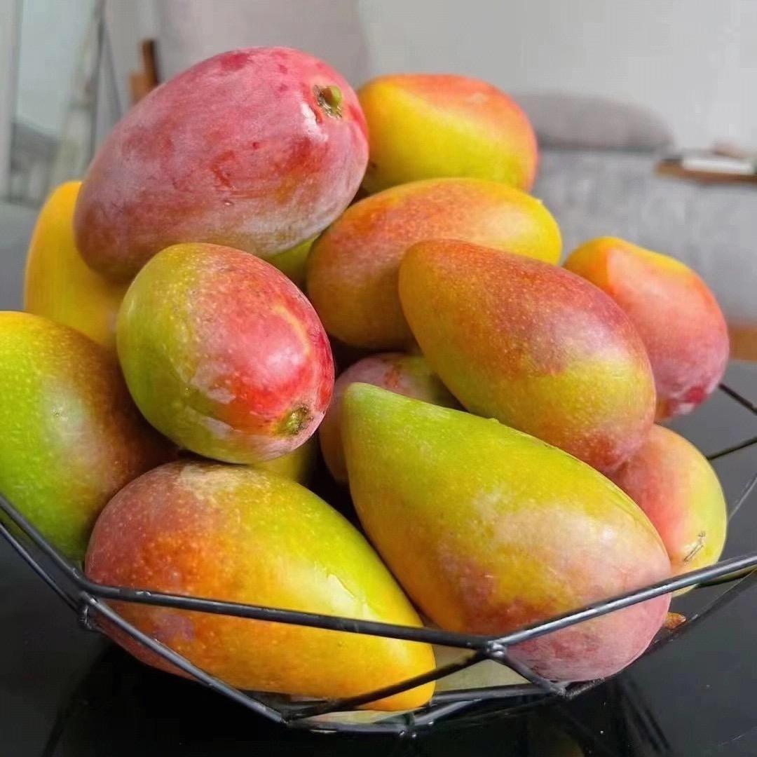 三亚抱密热带水果