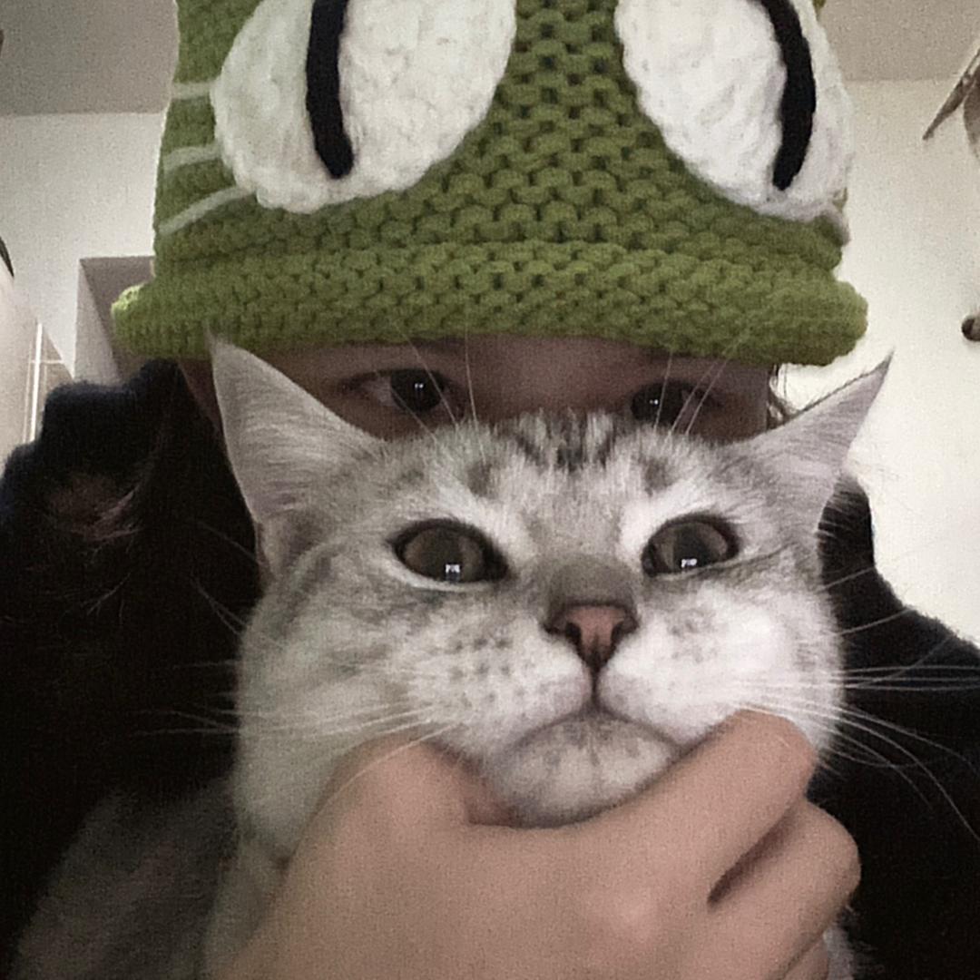 我有胖墩和六月🐈