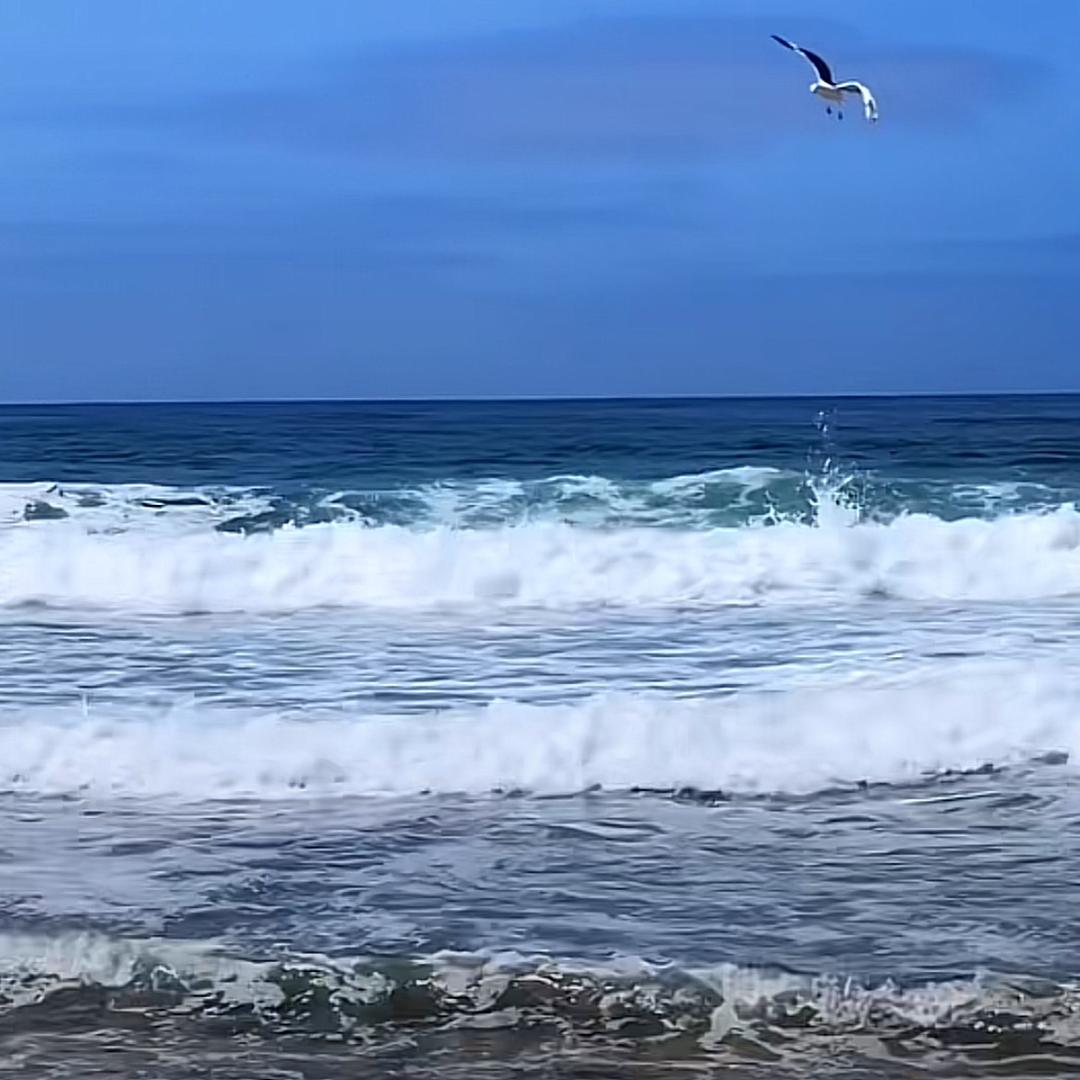 靜聽一片海