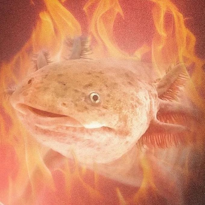 🔥Lantern🔥尹黎T.O.G.S