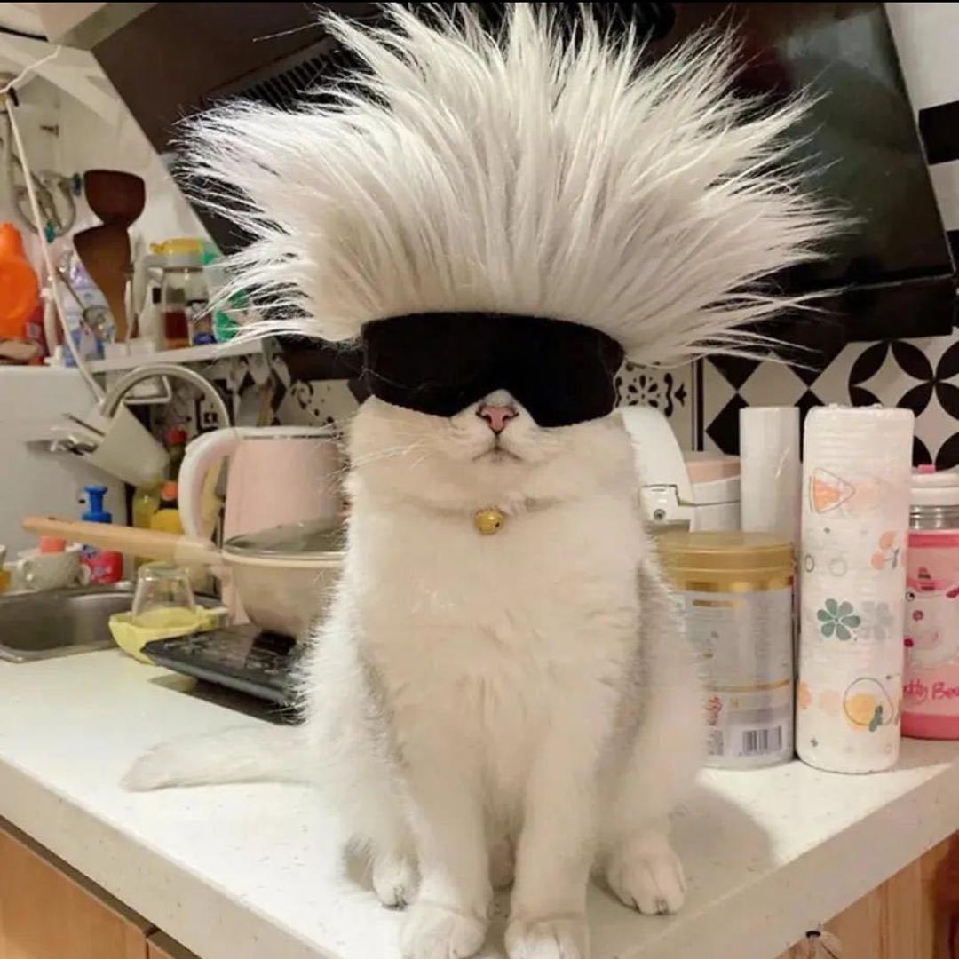 可可卷