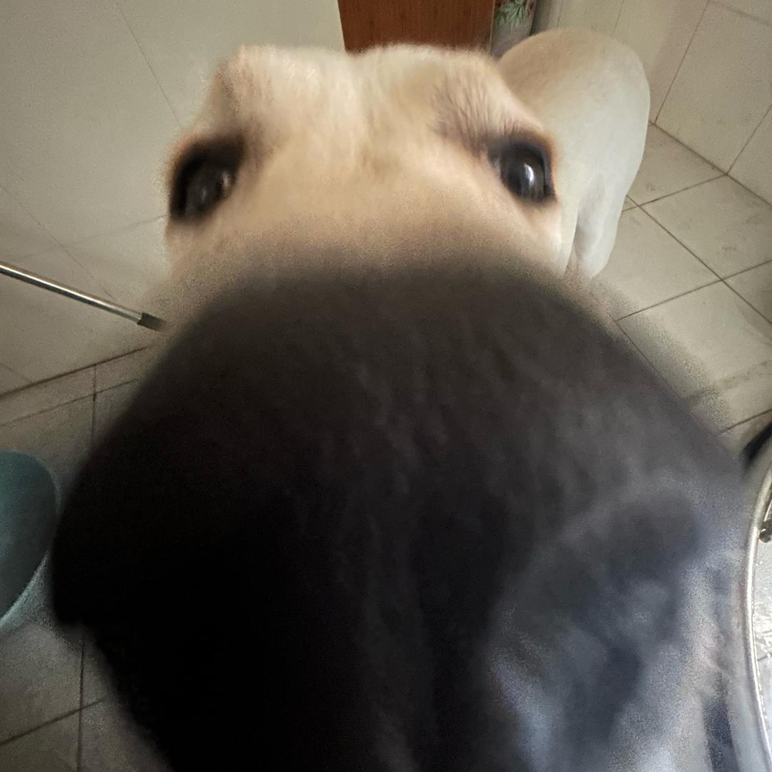 小司睡不着
