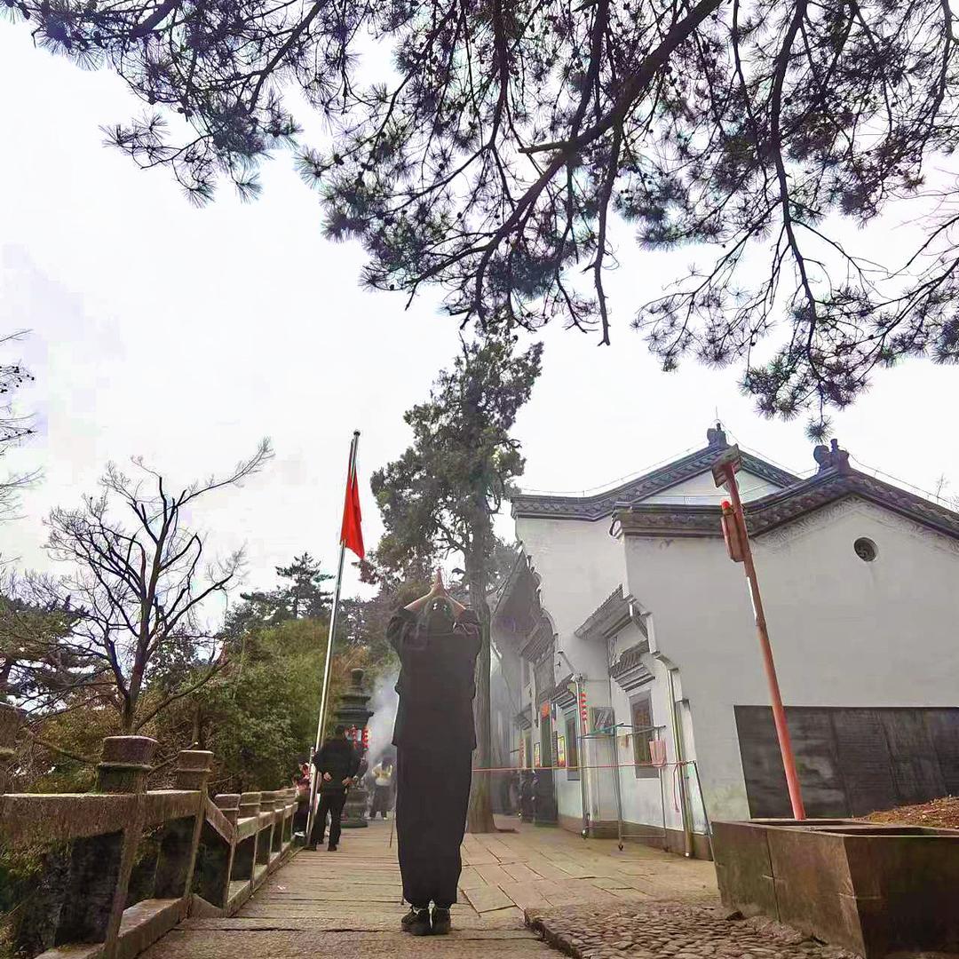 🐲 逸 馨、阁（正一:三利）