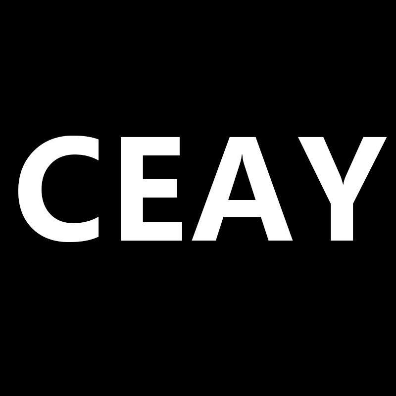 CEAY森锦男装专卖店