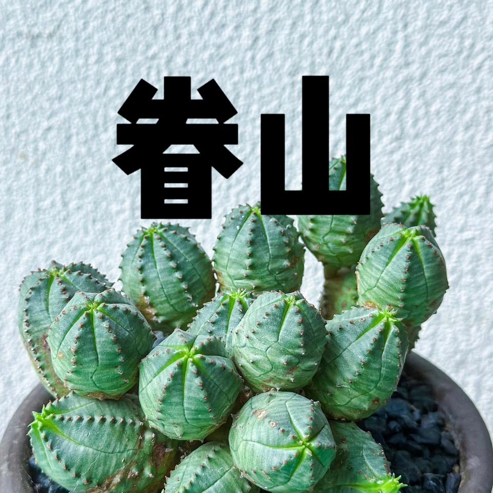 眷山植物严选店