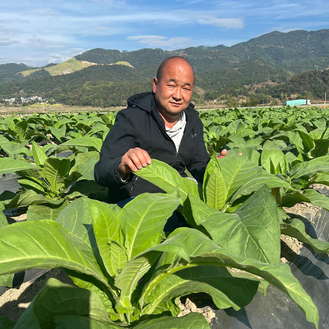 梁盈农业全啧啧