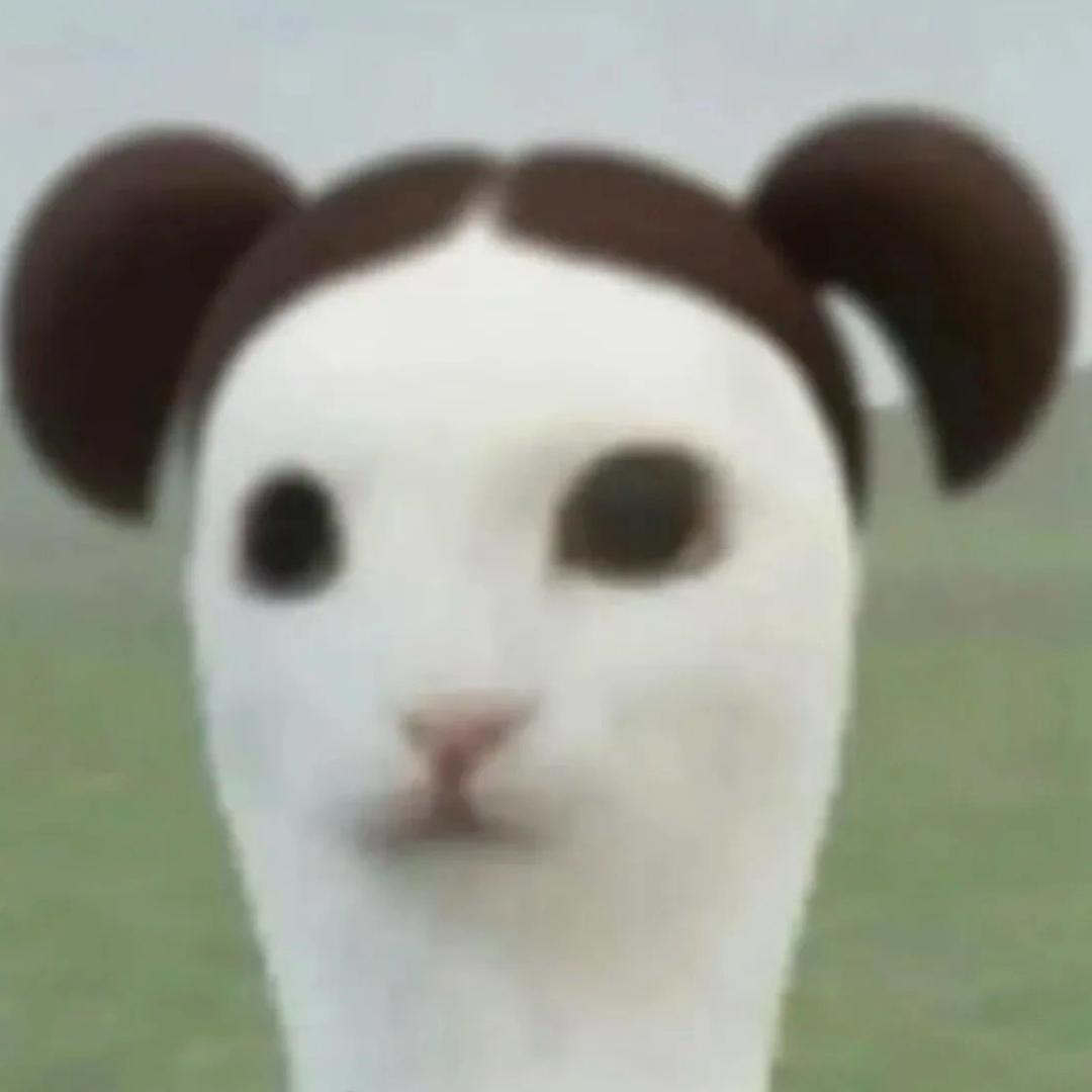 钢牙妹🌸