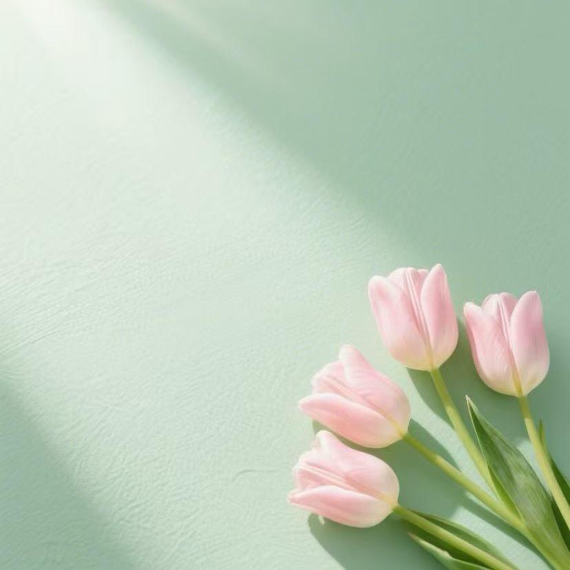 四季有花（橱窗下单）