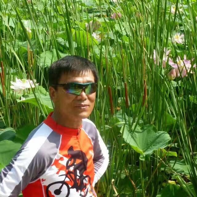 用户242314641844 青松