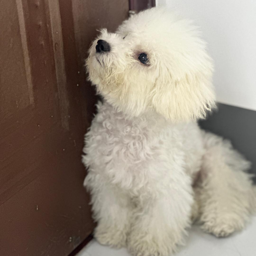 小B🐻哈哈    🥝