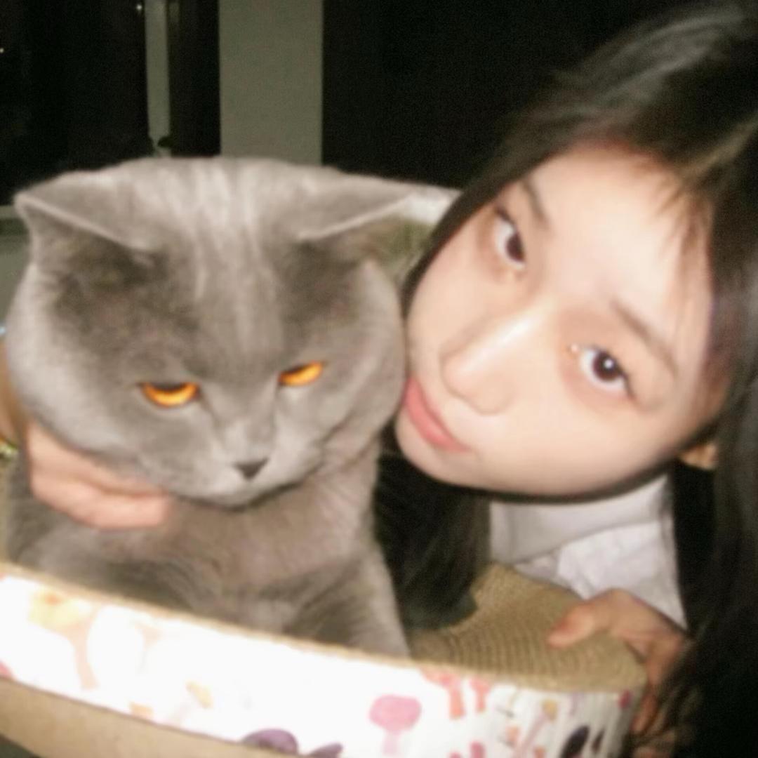 屁蛋