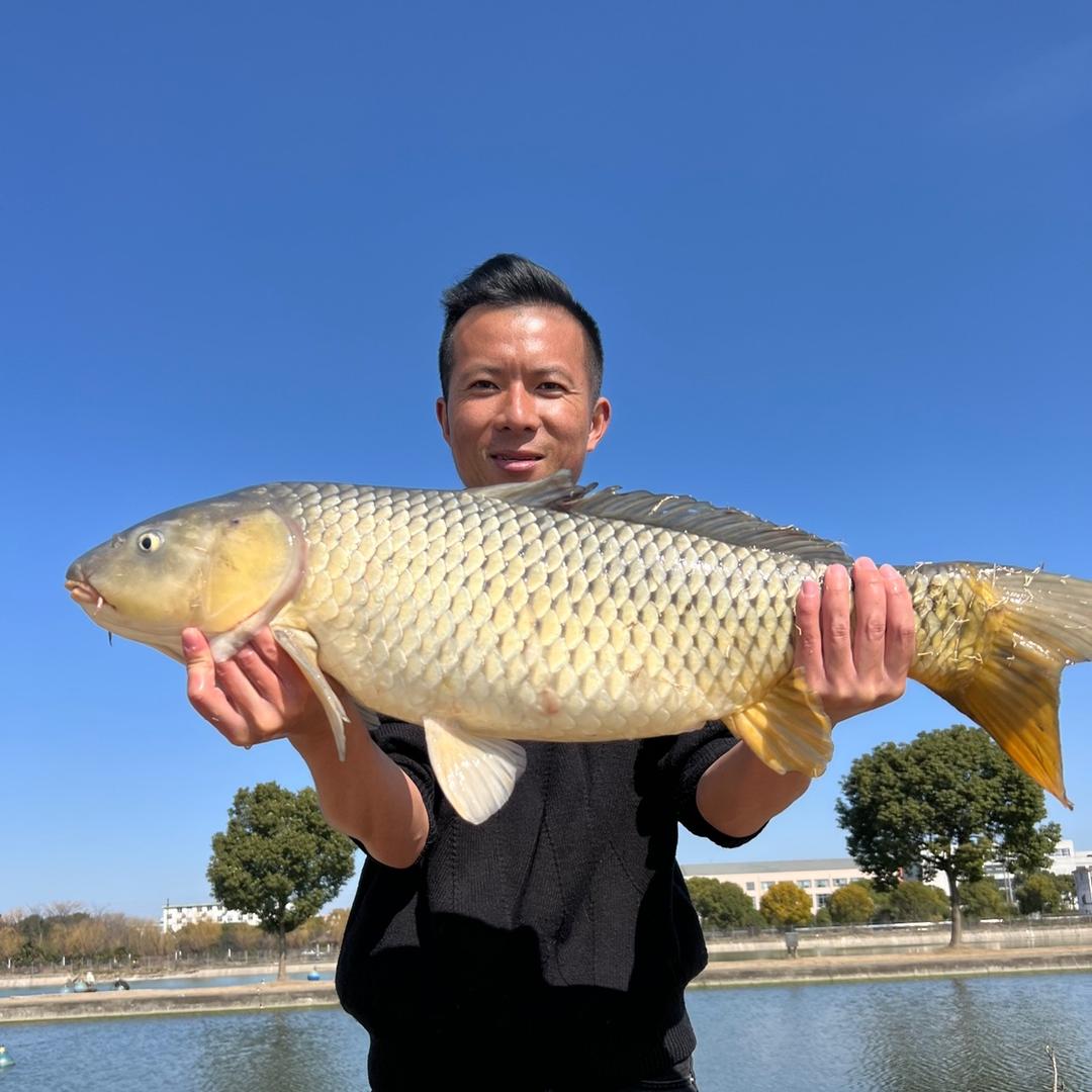 渔不二爱钓鱼（亭林）