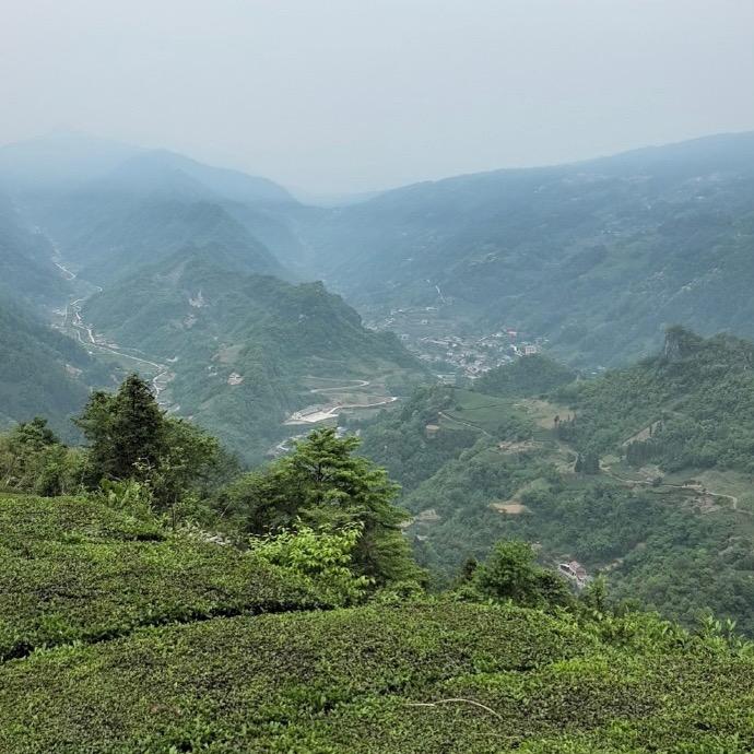 轻舟已过万重山~