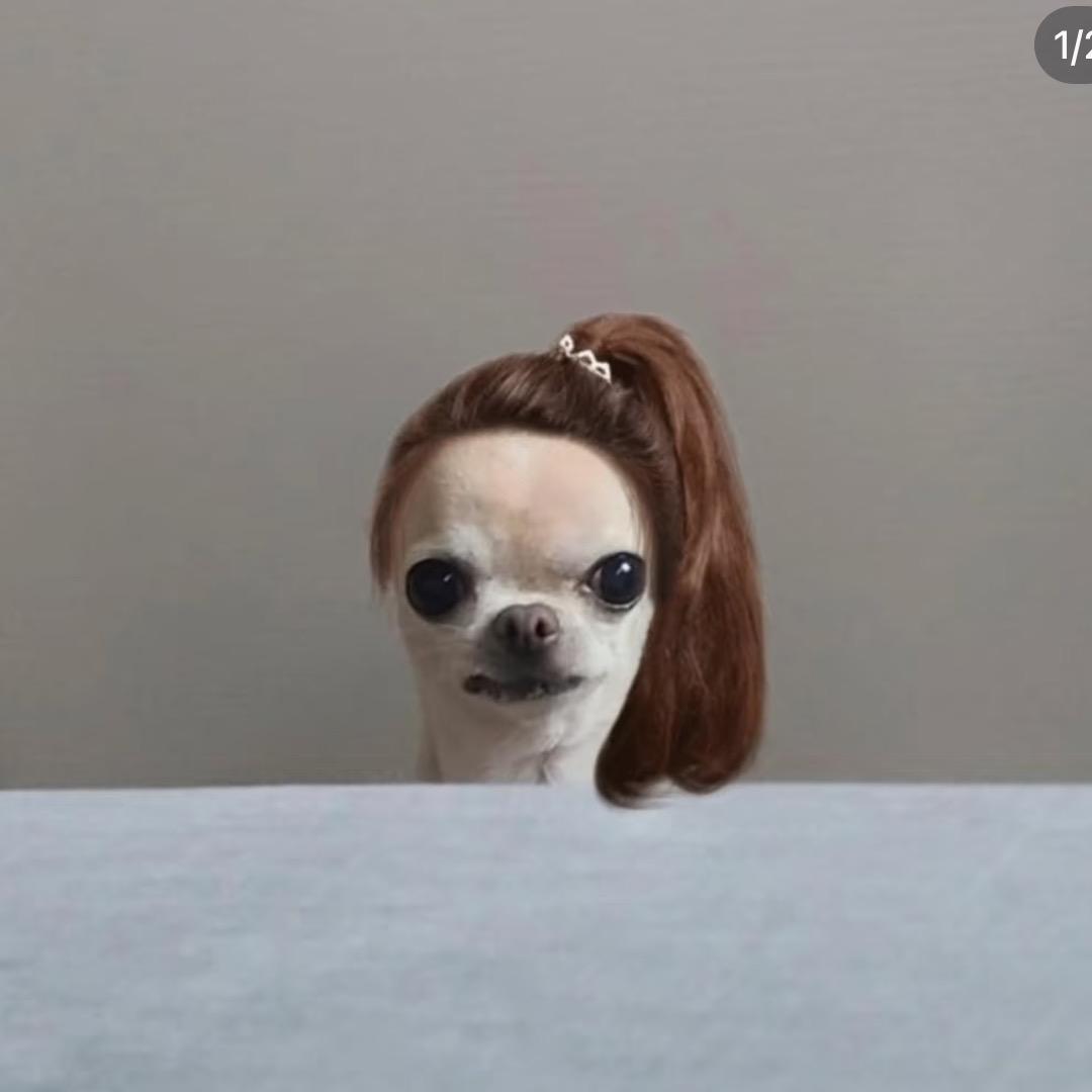 最幸福最美丽最可爱的女人