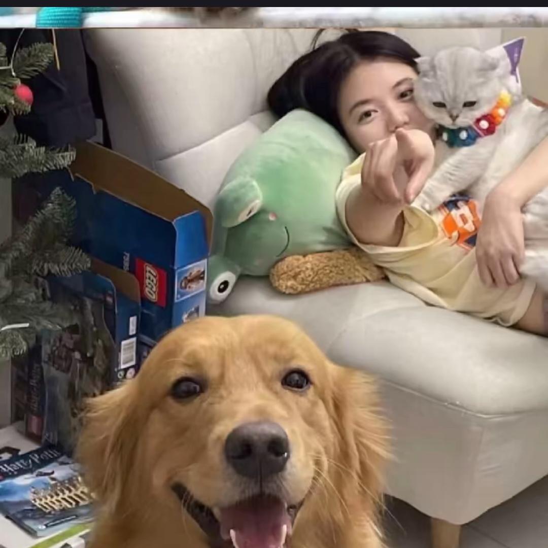 伤心凉皮.