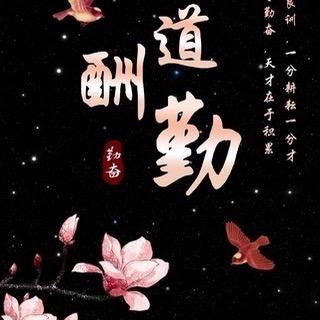 无敌小绵羊