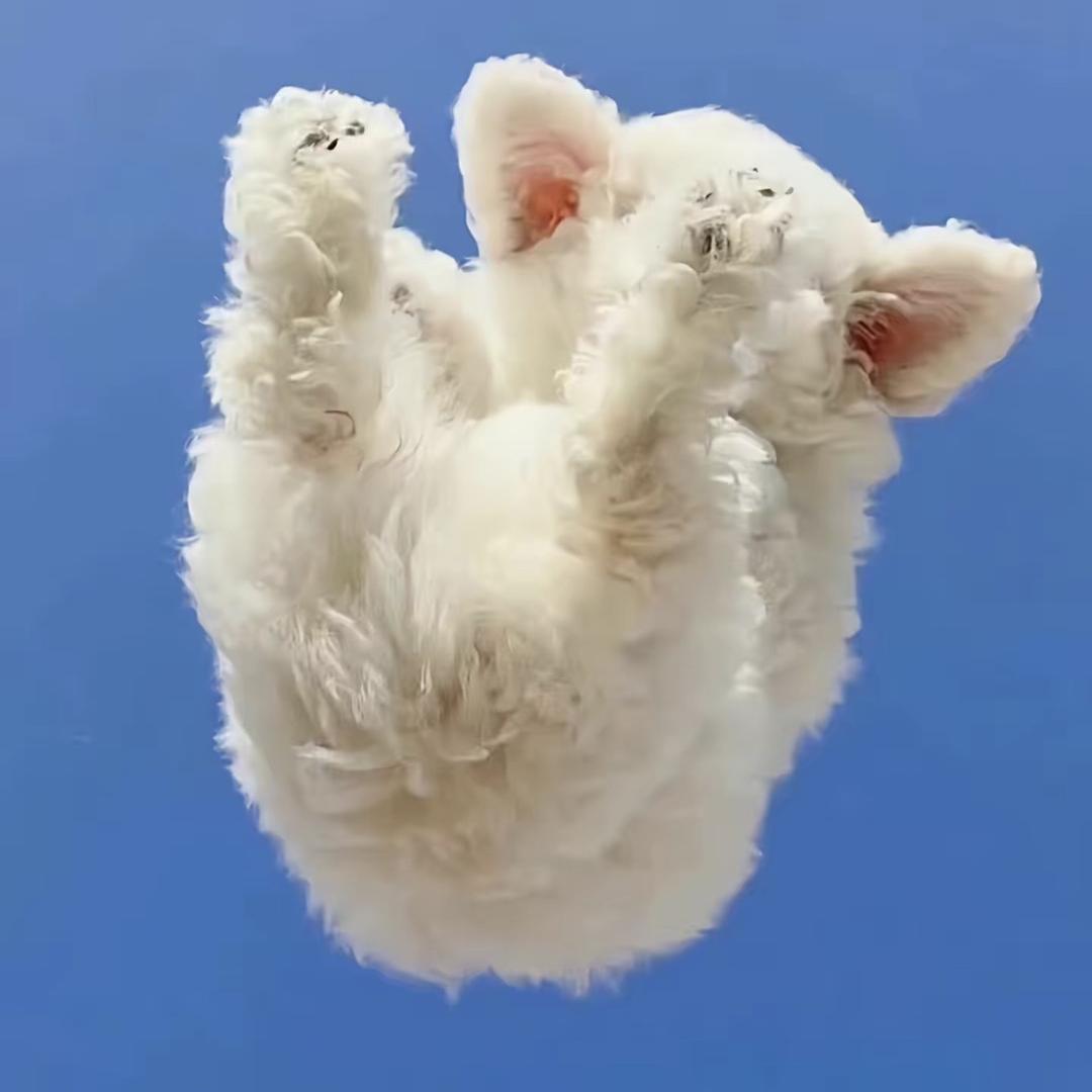 匿_
