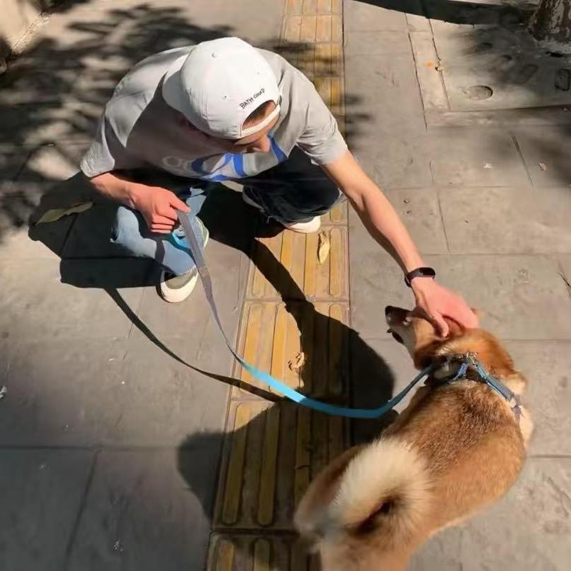 不吃透明饺子皮