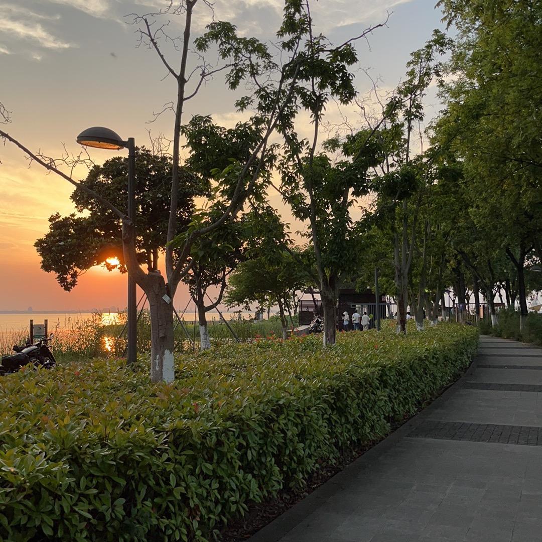 ☀️晴天