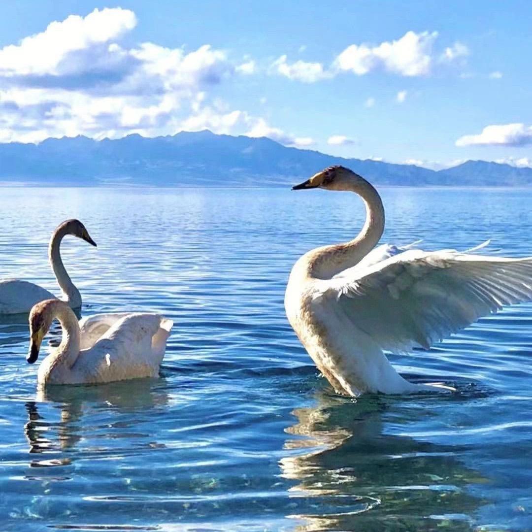 清 水