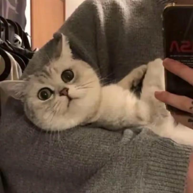 啊肥