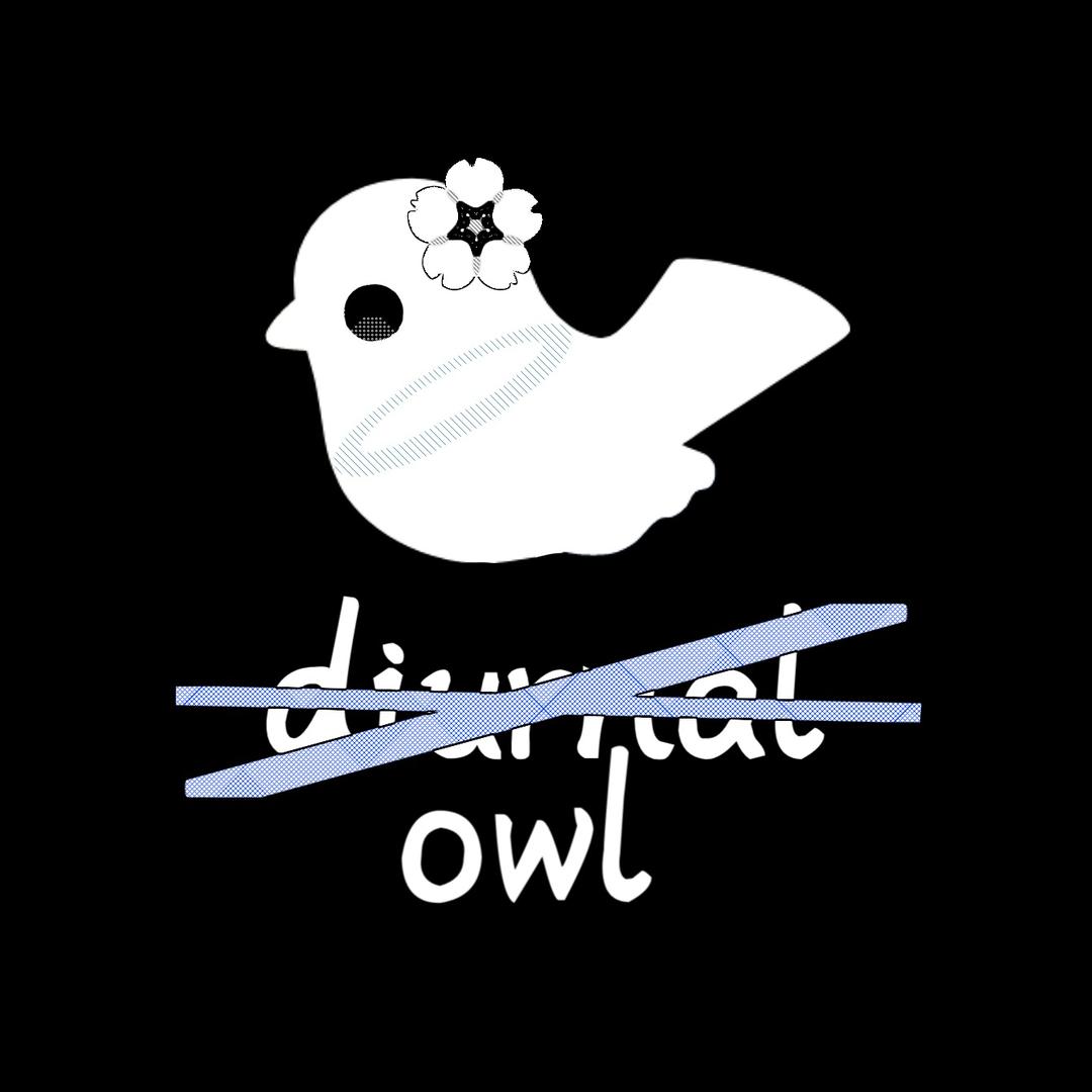 昼行鸮diurnal owl