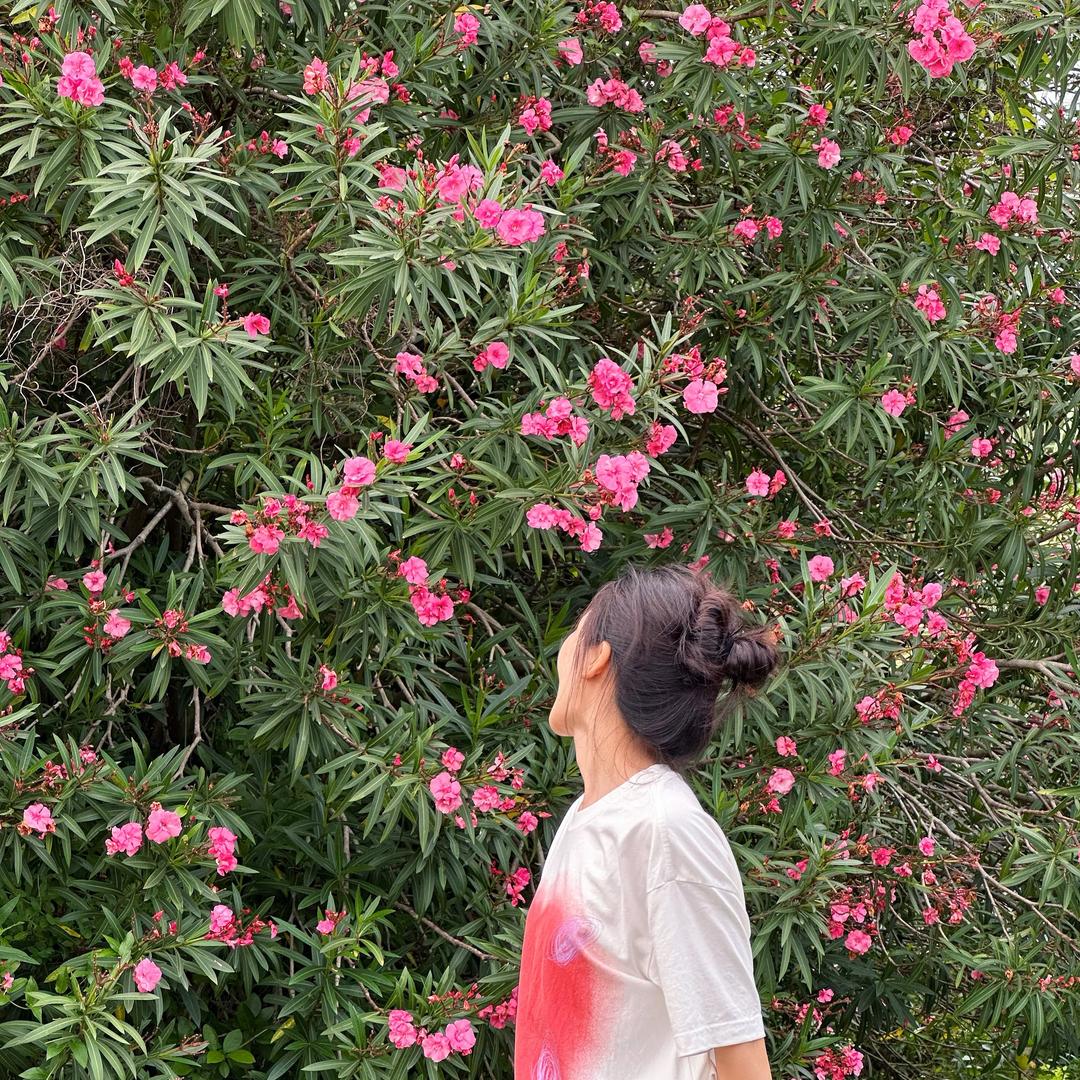 嘎嘎嘎嘎嘎嘎嘎