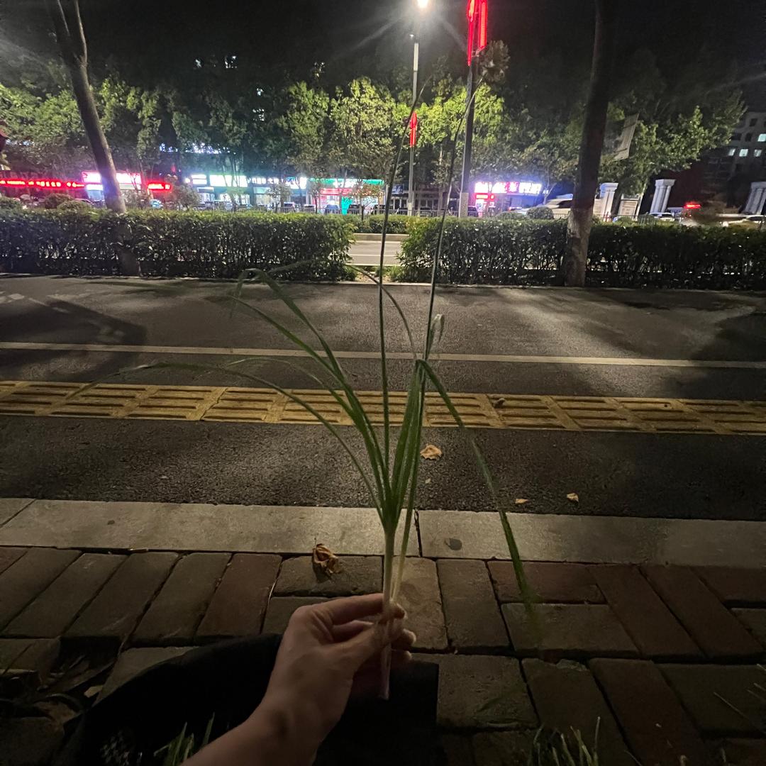 富婆